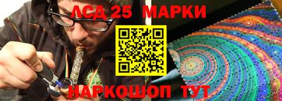 гидропоника Тверь