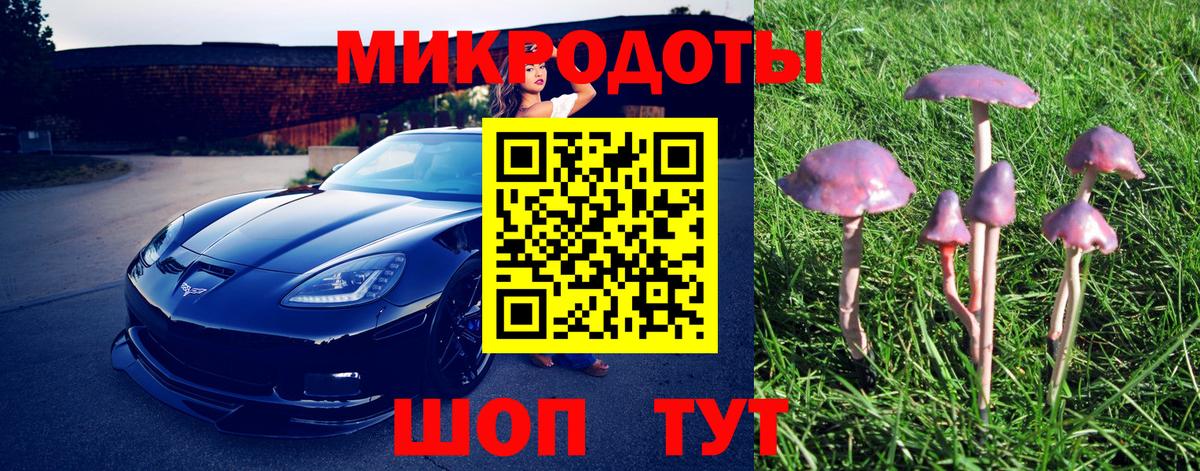 Галлюциногенные грибы прущие грибы Гусь-Хрустальный