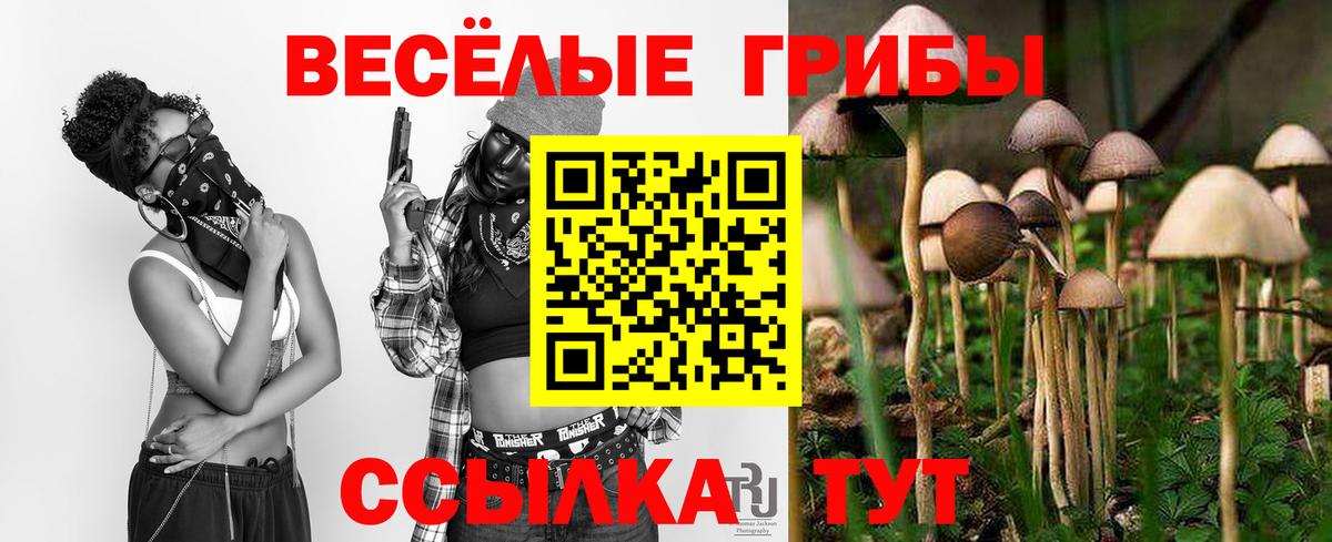 Псилоцибиновые грибы Cubensis  Вход с VPN  где продают наркотики  Гусь-Хрустальный  Псилоцибиновые грибы ЛСД 